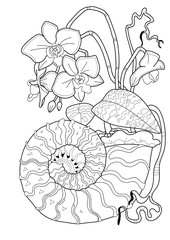 Fototapeta premium Orchid flowers in a mollusk shell. Coloring book for adults. Anti stress. Art line.