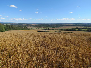 Countryside with field of ripe oats, hilly landscape on horizon, Czech republic, Central Bohemia region