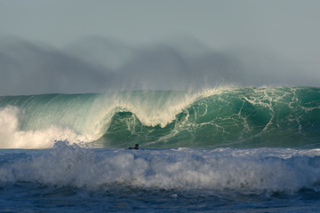 Fototapeta na wymiar Surfer and a large wave, Sydney Australia