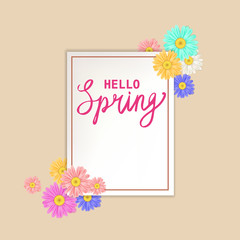 Hello Spring lettering template banner with fresh flowers bouquet multi colored daisies, chamomiles