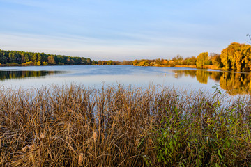 Fototapeta na wymiar Trees on a bank of lake on autumn