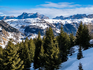 View of coniferous forest and mountains from a chair lift on a sunny winter day. Ski resort Arabba in Dolomites mountains. Passo Pordoi pass. , Italy