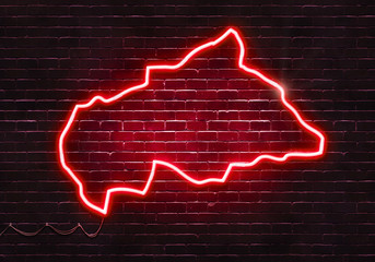 Neon sign on a brick wall in the shape of Central African Republic.(illustration series)