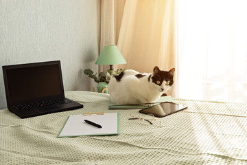 Top view of office supplies in the bed, informal working environment with laptop, notepad, tea cup. Remote work, home office, freelancer, self isolation idea
