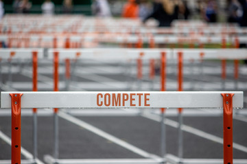 Compete In The Day's Race