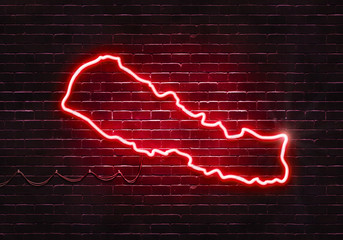 Neon sign on a brick wall in the shape of Nepal.(illustration series)
