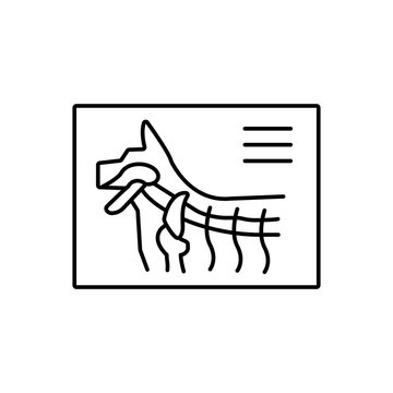 X-ray, dog icon. Simple line, outline vector elements of veterinary icons for ui and ux, website or mobile application