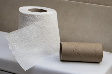 Toilet paper and empty tube