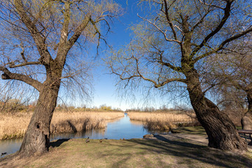 Floating swamp trail in Szigetszentmiklos, Hungary