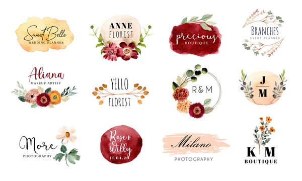 premade logo floral and brush stroke watercolor collection