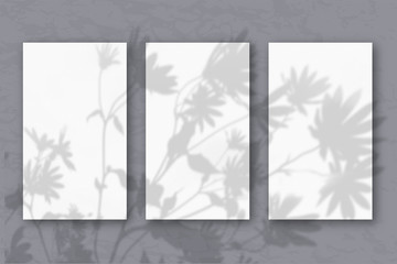 3 vertical sheets of white textured paper on a pastel grey wall background. Mockup with an overlay of plant shadows. Natural light casts shadows from flowers and leaves of daisies