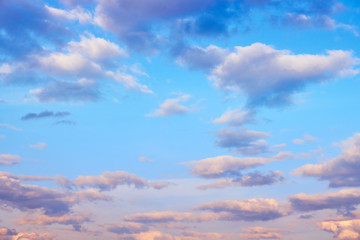 Cumulus pink clouds on sunset sky background, copy space for text