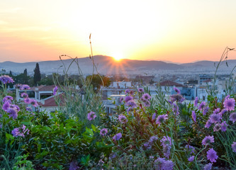 Late afternoon, in Athens, Greece
