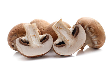 champignon mushrooms on white background