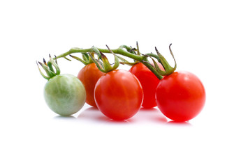 tomatoes isolated on white background