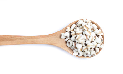 Job's Tears on white background