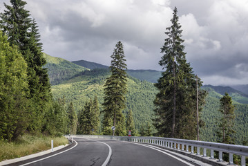 Epmty road near Prislop mountain pass on border of Maramures and Bukovina regions, Romania