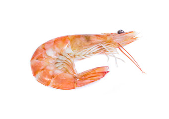 Shrimp isolated on the white background
