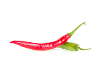 chilli isolated on white