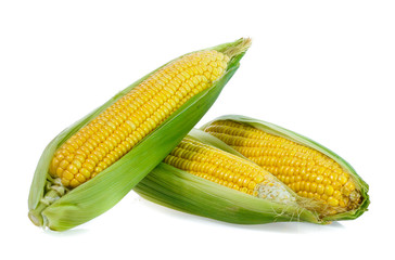 Corn on white background