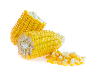 Corn on white background