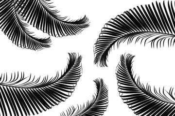Palm Leaf Background Illustration Black and white.