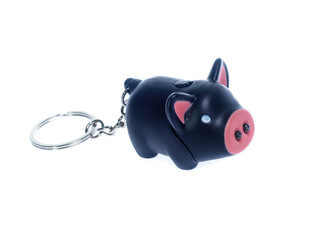 The key chain pig