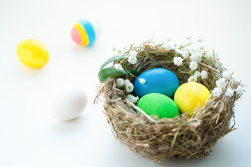 Colorful easter eggs in a bird 's nest on a blue background.