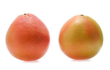 grapefruit  isolated on white