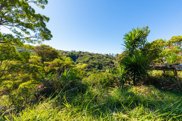 Costa Rica hills and tropical forest