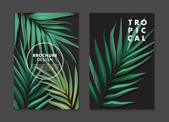 Plam leaves design, tropical tree jungle poster set. Trendy botanical background for wallpapers, posters, cards, invitations, websites