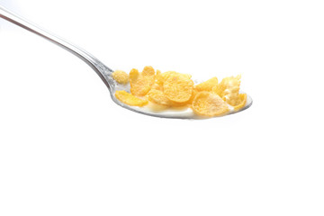 Cornflakes   isolated on white background