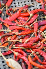close up dry red chili 