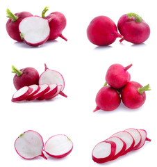 radish isolated on white background