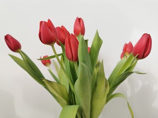 A bouquet of beautiful pink tulips. Holiday celebration. Spring season. Romantic decorative bouquet