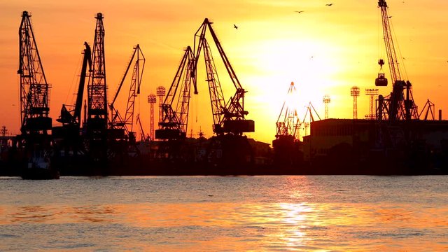 Varna sea port at sunset, silhouettes of birds, industrial cranes and cargo ships, Bulgaria.