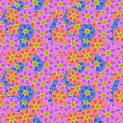 Primula, primrose. Illustration, texture of flowers. Seamless pattern for continuous replication. Floral background, photo collage for textile, cotton fabric. For use in wallpaper, covers