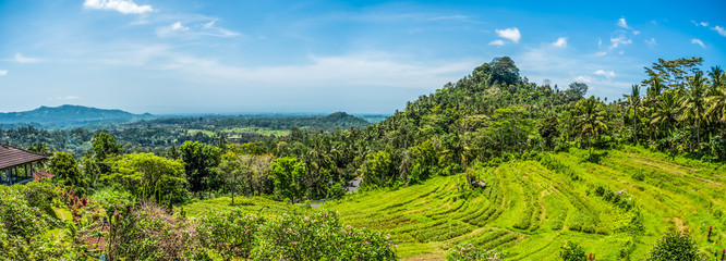 Bali's lands are filled with verdant rice fields which make for amazing scenery