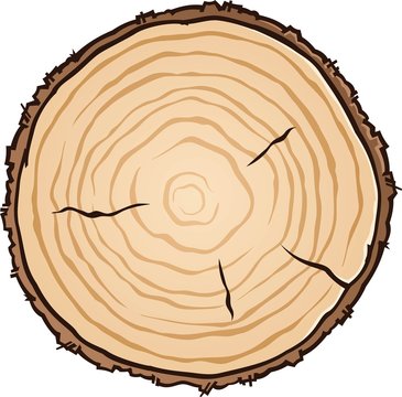 A wooden circle vector illustration cut from a log showing age rings and cracks