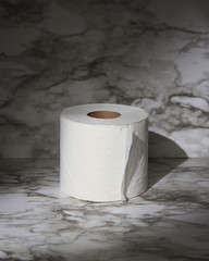 Toliet Paper Roll Shortage in Bathroom