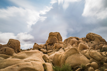 Joshua Tree Rocks