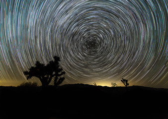 Joshua Tree Star Trail
