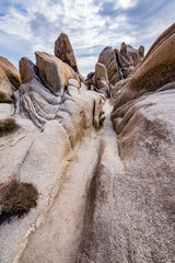 Joshua Tree Rocks