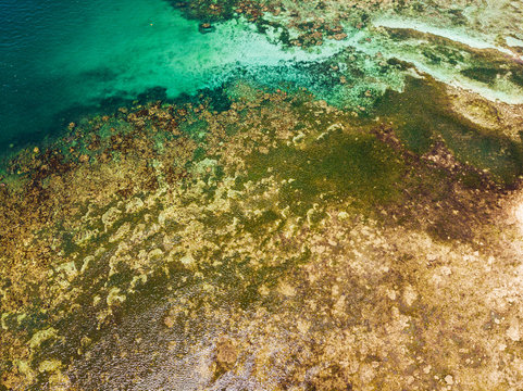 Textured pattern of coral reef from zenith view from a drone with clea blue waters, Siargao, Philippines