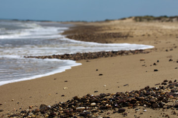 waves on the beach