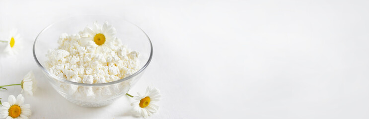 banner Homemade cottage cheese and cream in glassware. on a white background. Soft focus. Chamomile flowers as a symbol of rustic.  Copy Space