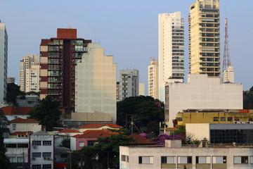 buildings in city