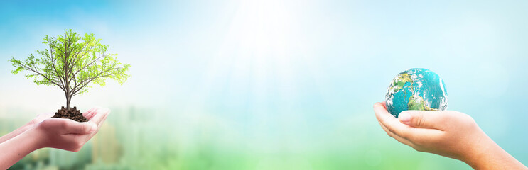 International Day of Forests concept: hands holding  tree and earth globe over green and city...