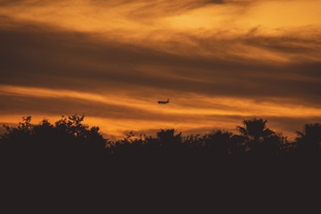 airplane landing over a beautiful sunset