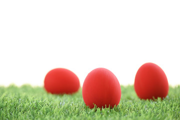 red easter egg on lawn green grass artificial with blank white background